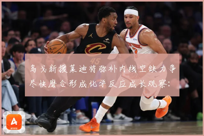 乌戈新援莱迪将弥补内线空缺力争尽快磨合形成化学反应成长观察：最新赛事动态与深度分析