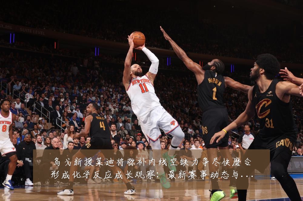 乌戈新援莱迪将弥补内线空缺力争尽快磨合形成化学反应成长观察：最新赛事动态与深度分析